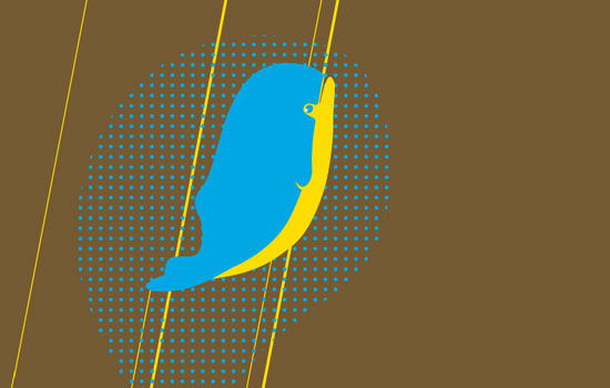 detail 01
